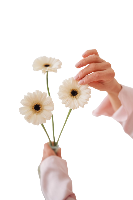 Manos sosteniendo flores con delicadeza